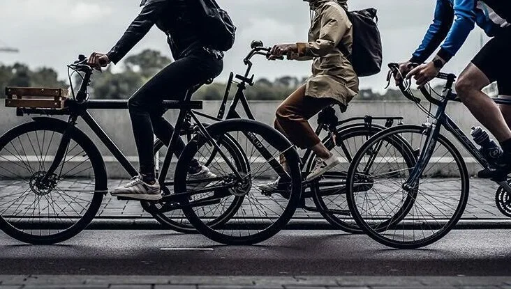 Case Study: Specialized Bicycle Components