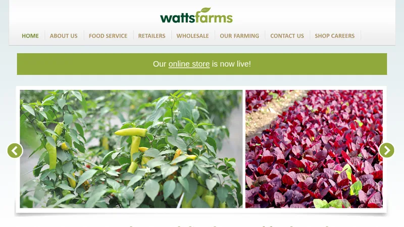 Website in a week that saved 150 jobs