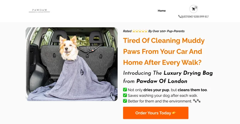 Sales Page Design & Build