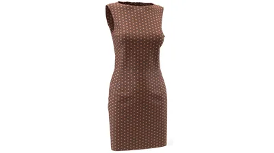 Woman's Dress
