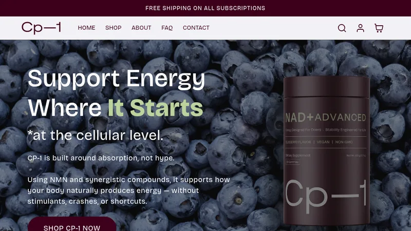 CP-1 - Website Design & Set Up