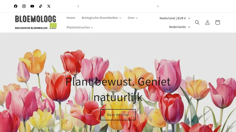 How Bloemoloog Used InterLinks to Enhance Multilingual SEO