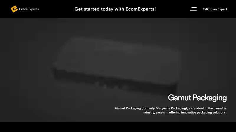 Gamut Packaging - Technical SEO