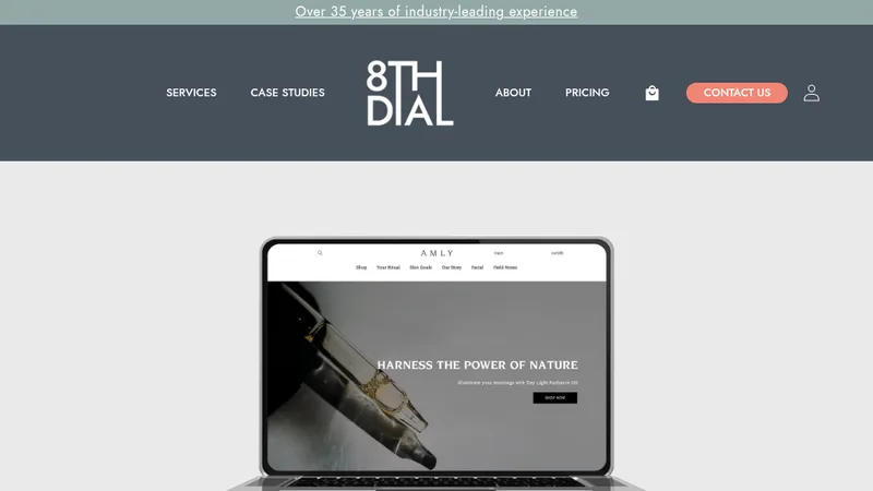 Amly: Website Design, Development, Marketing and Content Creation