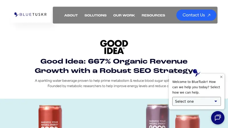 Good Idea: 667% Organic Revenue Growth with a Robust SEO Strategy